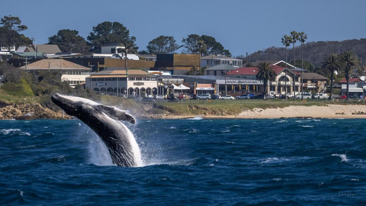 Bermagui Beach Hotel Zewnętrze zdjęcie
